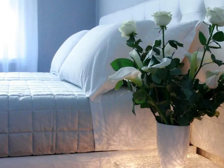 B-Cool (Adults Only) Bed & Breakfast Rome