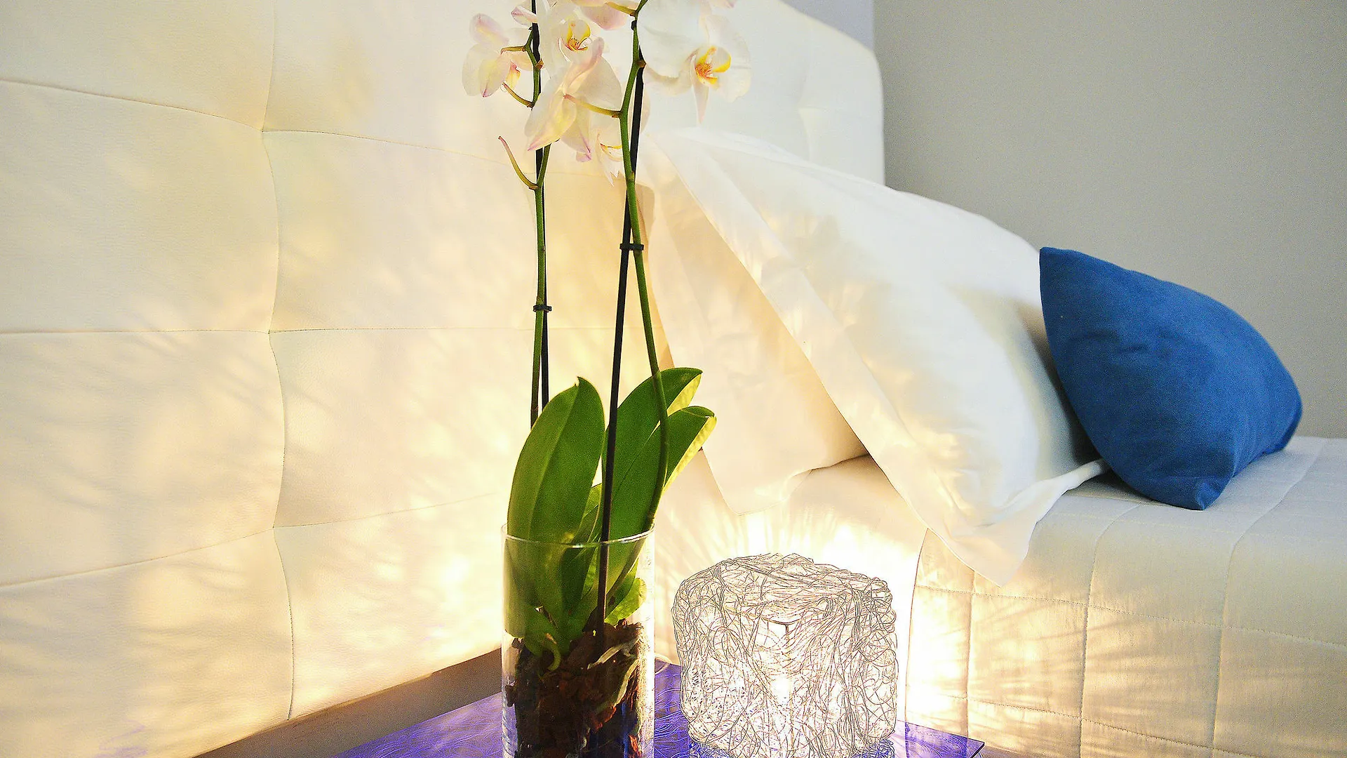 *** Bed & Breakfast Bed and Breakfast B-Cool (Adults Only) Roma Italia